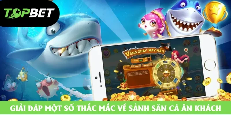 Giải đáp một số thắc mắc về sảnh săn cá ăn khách Giải đáp một số thắc mắc về sảnh săn cá ăn khách