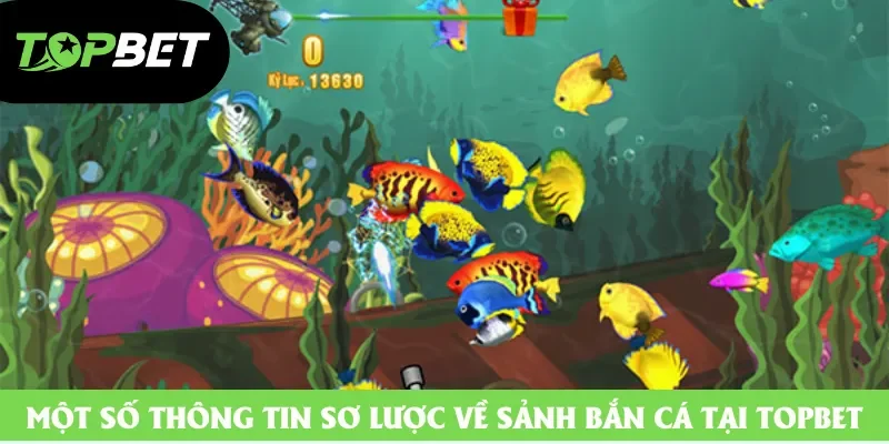Một số thông tin sơ lược về sảnh bắn cá tại TOPBET Một số thông tin sơ lược về sảnh bắn cá tại TOPBET